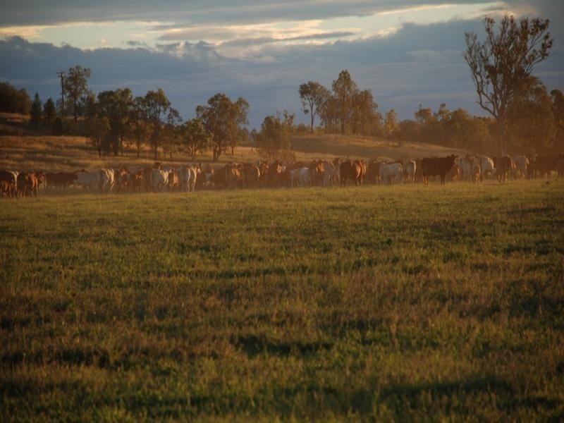 Tenterfield NSW 2372