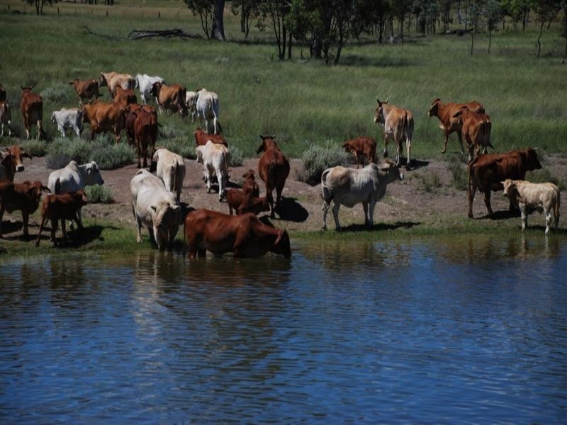Tenterfield NSW 2372