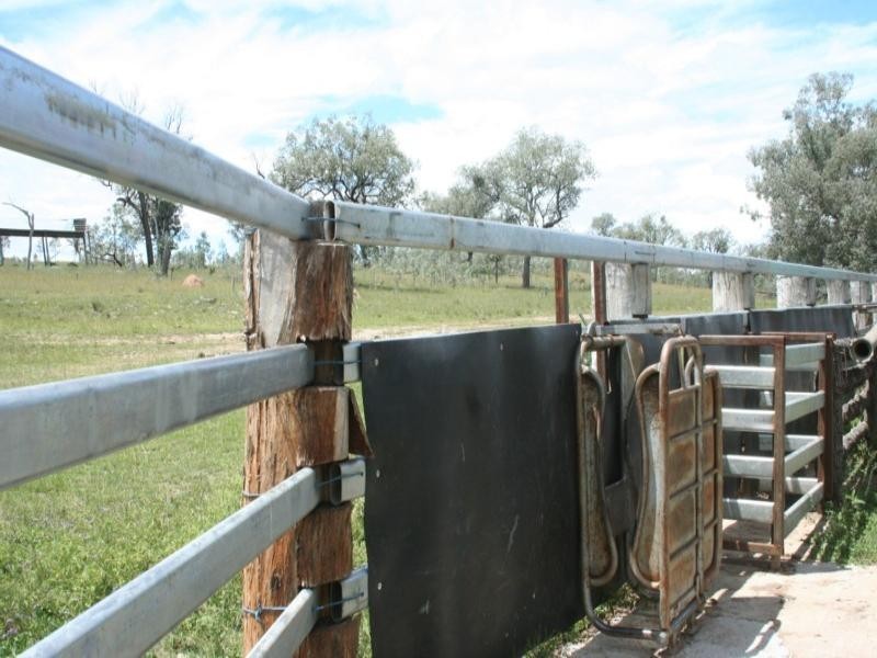 Tenterfield NSW 2372