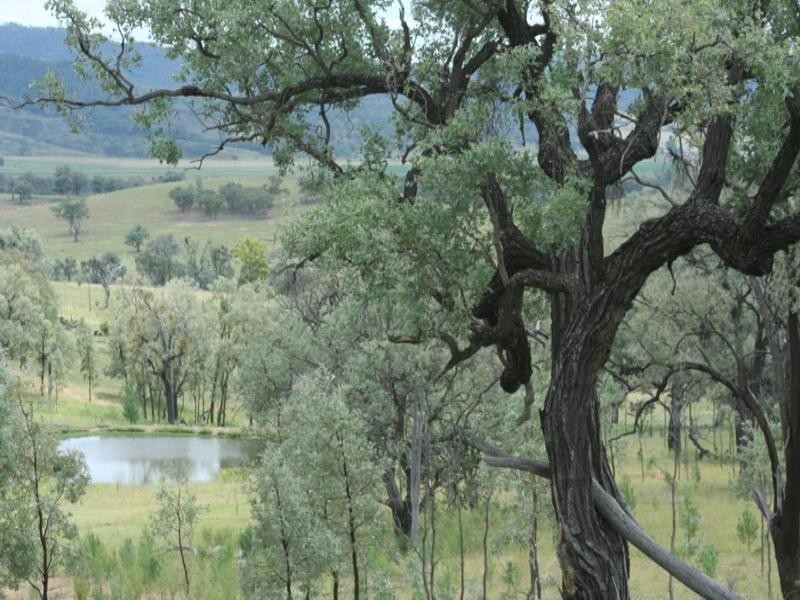 Tenterfield NSW 2372