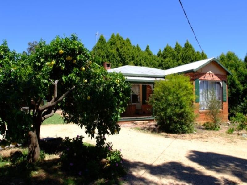 Tenterfield NSW 2372