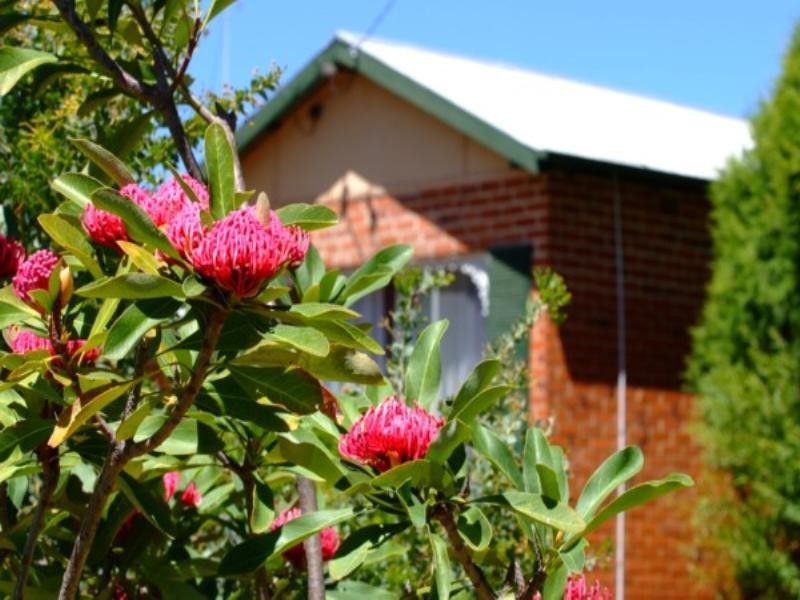 Tenterfield NSW 2372