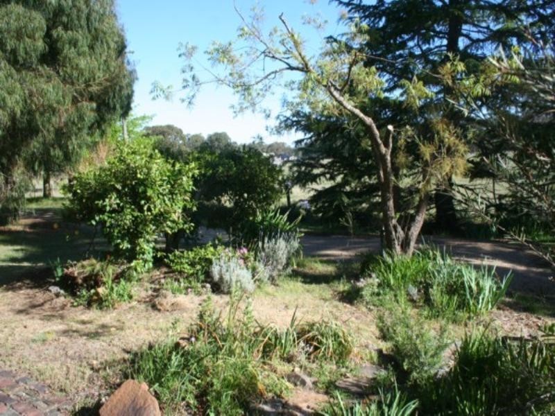 Tenterfield NSW 2372