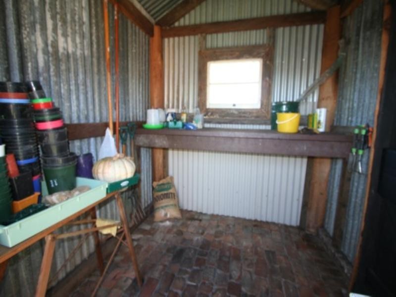 50 Wood Street, Tenterfield NSW 2372