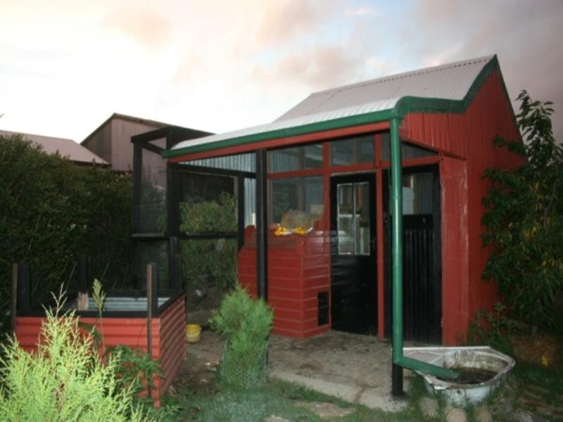 50 Wood Street, Tenterfield NSW 2372