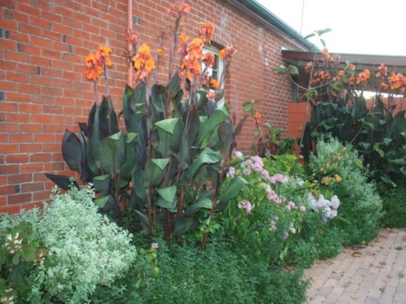 50 Wood Street, Tenterfield NSW 2372