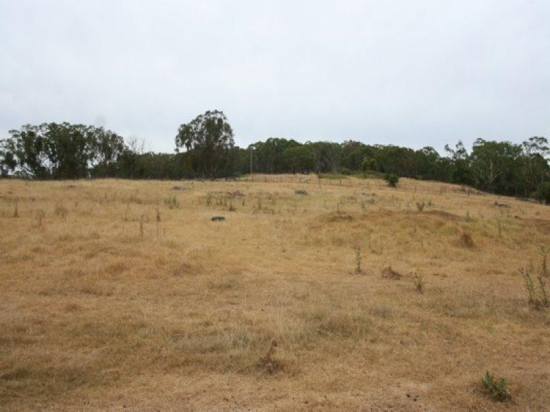 1501 Torrington Road, Stannum NSW 2371