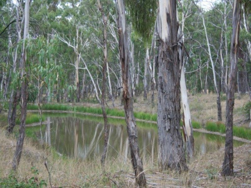 1501 Torrington Road, Stannum NSW 2371