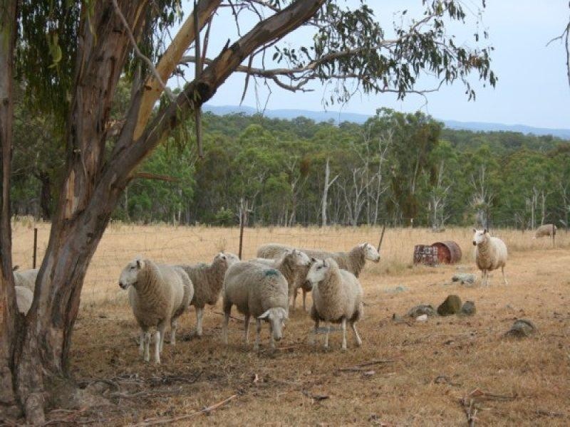 1501 Torrington Road, Stannum NSW 2371