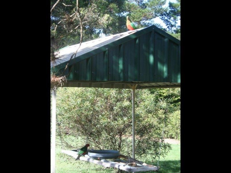 306 Geyers Road, Tenterfield NSW 2372