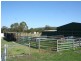 306 Geyers Road, Tenterfield NSW 2372