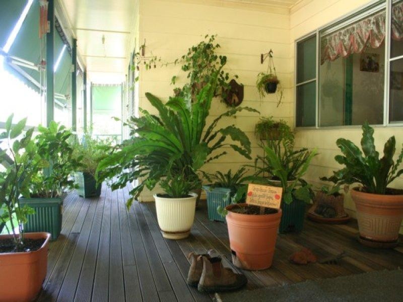 306 Geyers Road, Tenterfield NSW 2372