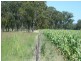 306 Geyers Road, Tenterfield NSW 2372
