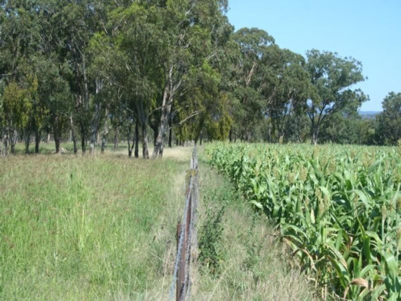 306 Geyers Road, Tenterfield NSW 2372