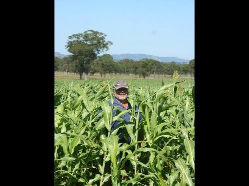 306 Geyers Road, Tenterfield NSW 2372