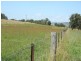 306 Geyers Road, Tenterfield NSW 2372