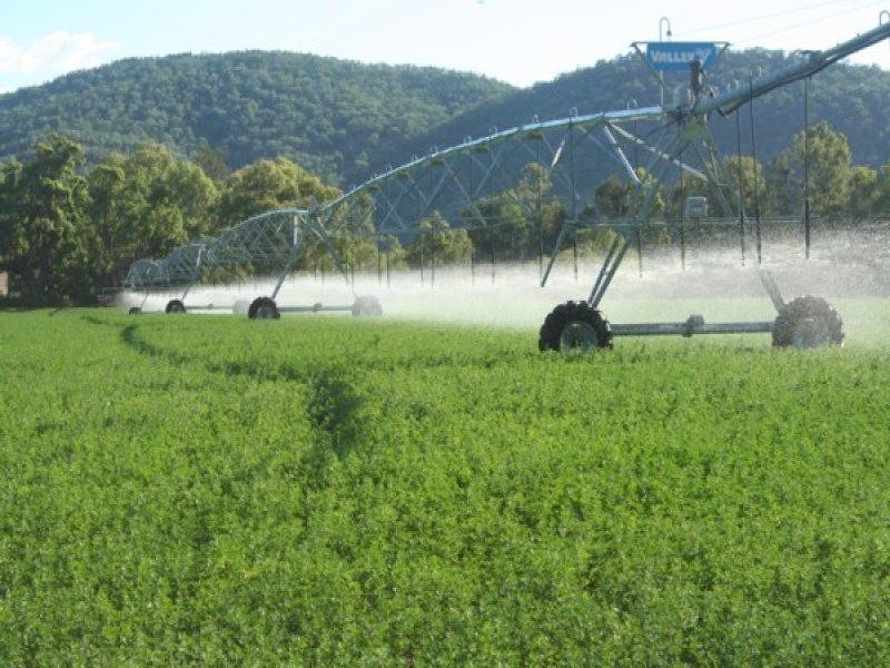 100 Mingoola Road, Tenterfield NSW 2372