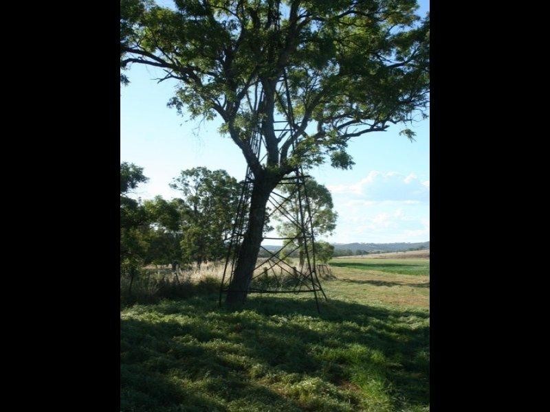 100 Mingoola Road, Tenterfield NSW 2372