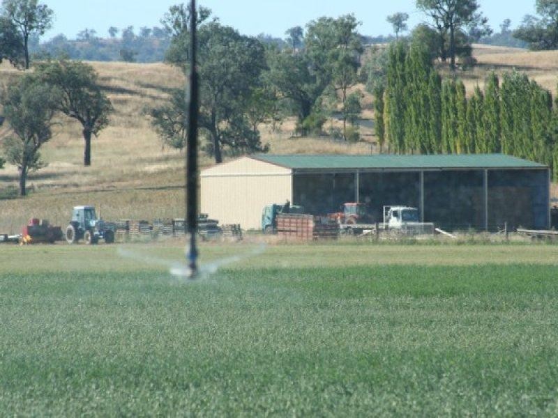 100 Mingoola Road, Tenterfield NSW 2372