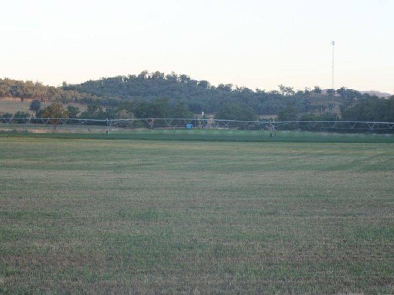 100 Mingoola Road, Tenterfield NSW 2372