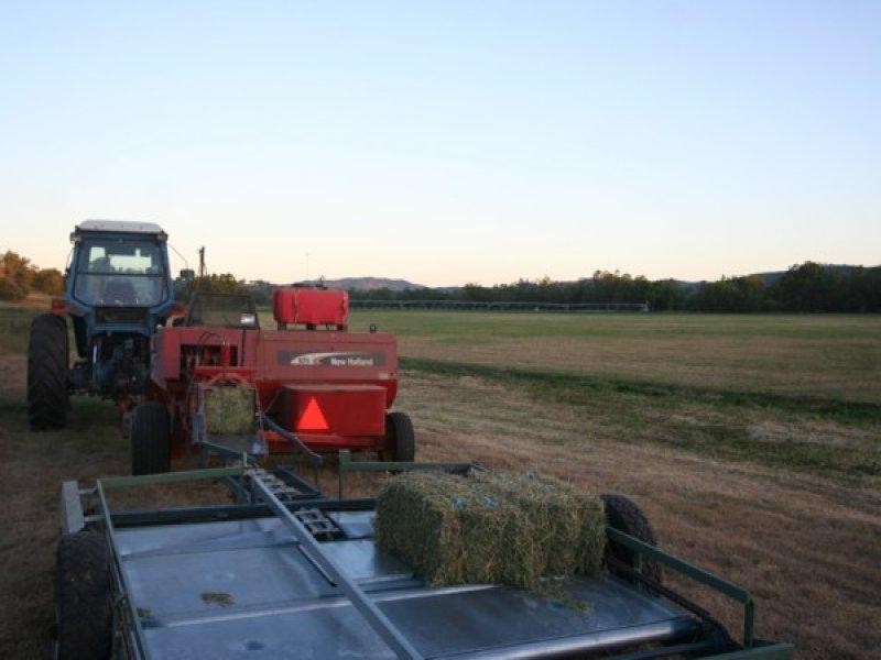 100 Mingoola Road, Tenterfield NSW 2372