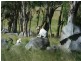 Tenterfield NSW 2372