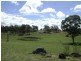 409 Mt Lindsay Road -Harewood, Tenterfield NSW 2372