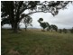 409 Mt Lindsay Road -Harewood, Tenterfield NSW 2372