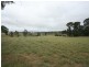 409 Mt Lindsay Road -Harewood, Tenterfield NSW 2372