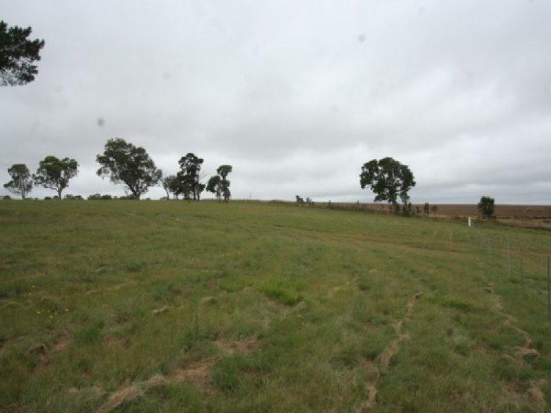 409 Mt Lindsay Road -Harewood, Tenterfield NSW 2372