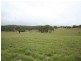 409 Mt Lindsay Road -Harewood, Tenterfield NSW 2372