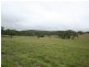 409 Mt Lindsay Road -Harewood, Tenterfield NSW 2372