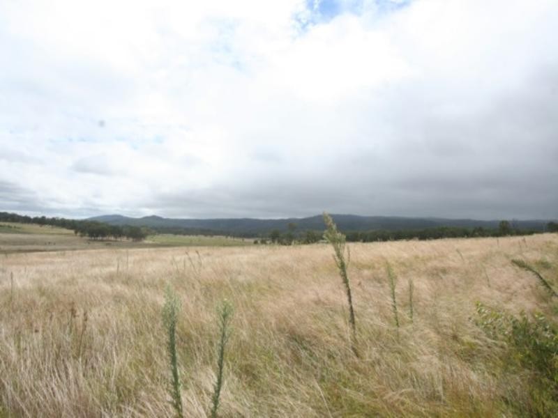 Tenterfield NSW 2372