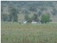 Tenterfield NSW 2372