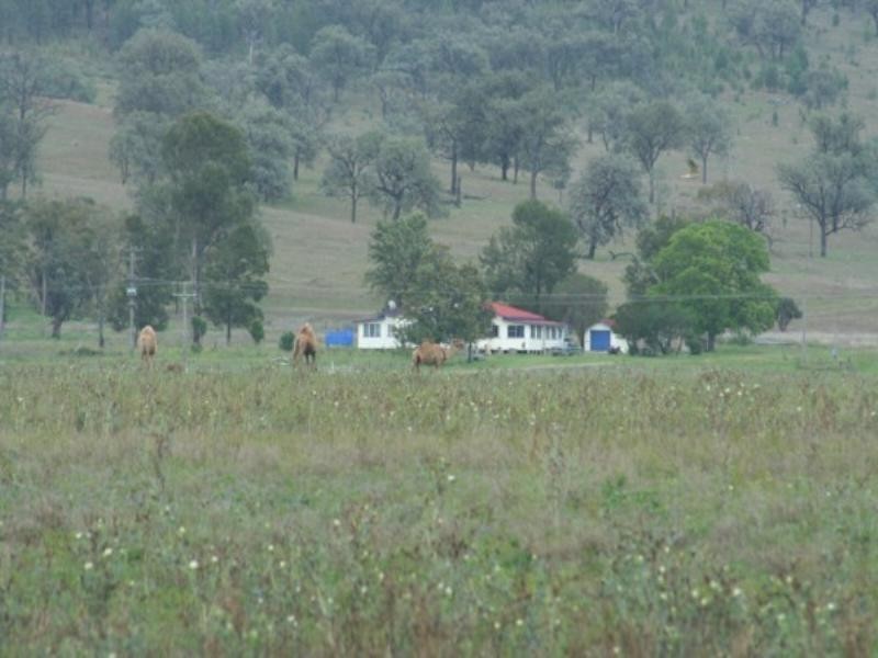 Tenterfield NSW 2372