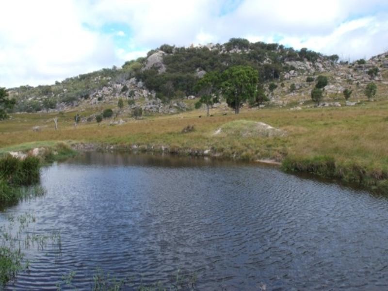 Tenterfield NSW 2372