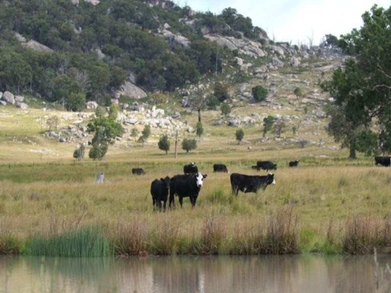 Tenterfield NSW 2372