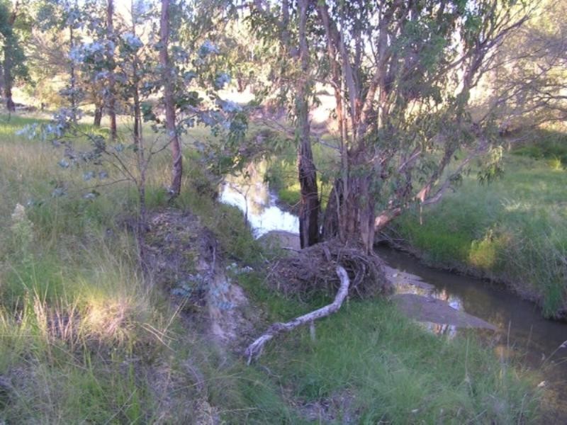 Tenterfield NSW 2372