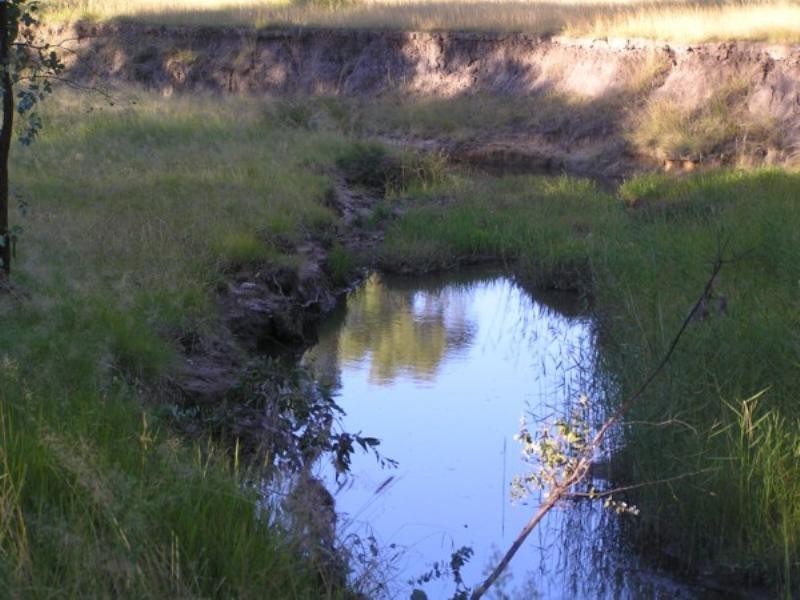 Tenterfield NSW 2372