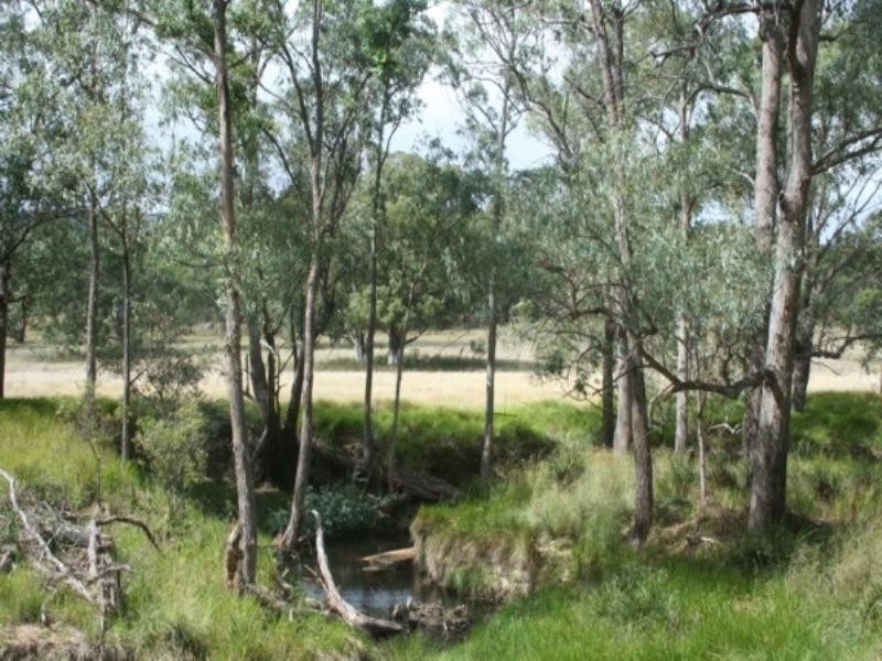 Tenterfield NSW 2372