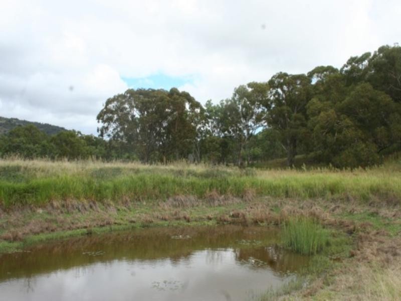 Tenterfield NSW 2372