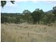Tenterfield NSW 2372