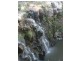 Tenterfield NSW 2372