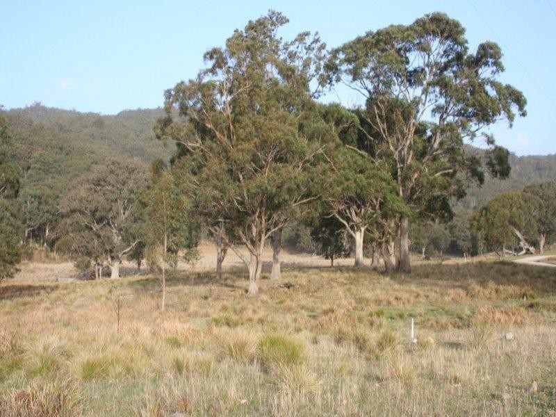 Speriby North Curr Road, Tenterfield NSW 2372