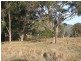 Speriby North Curr Road, Tenterfield NSW 2372