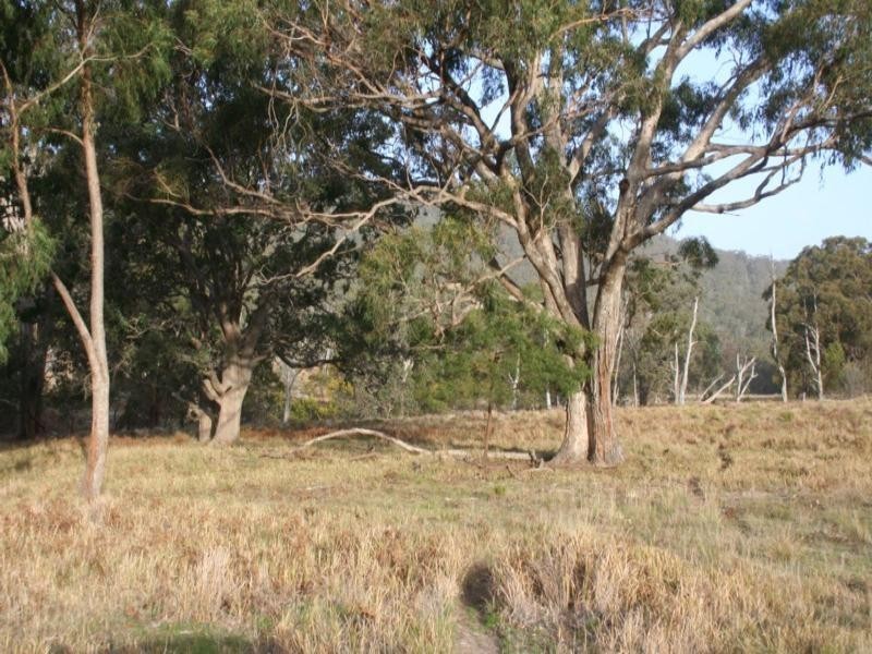 Speriby North Curr Road, Tenterfield NSW 2372