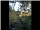 Speriby North Curr Road, Tenterfield NSW 2372