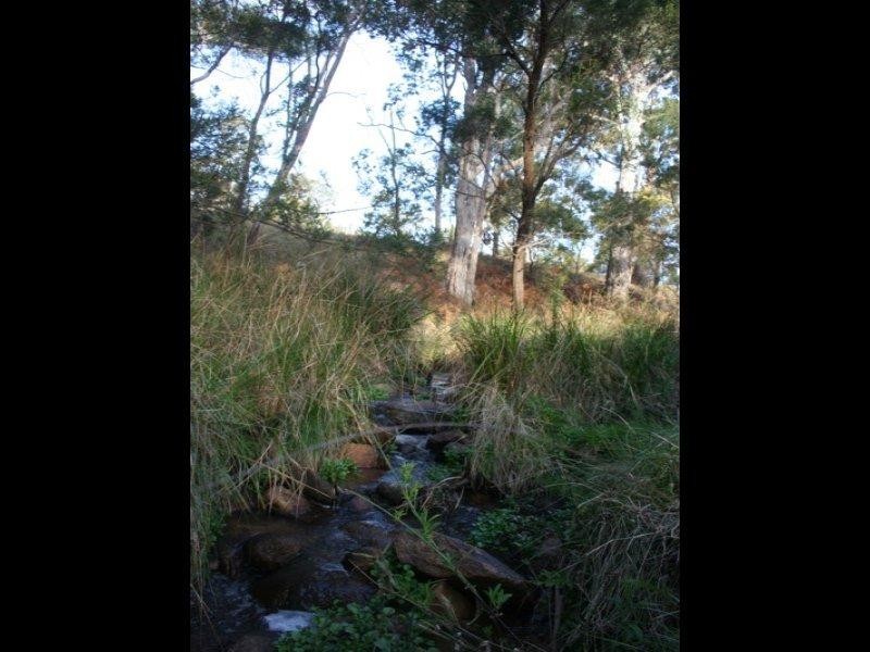 Speriby North Curr Road, Tenterfield NSW 2372
