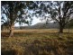 Speriby North Curr Road, Tenterfield NSW 2372
