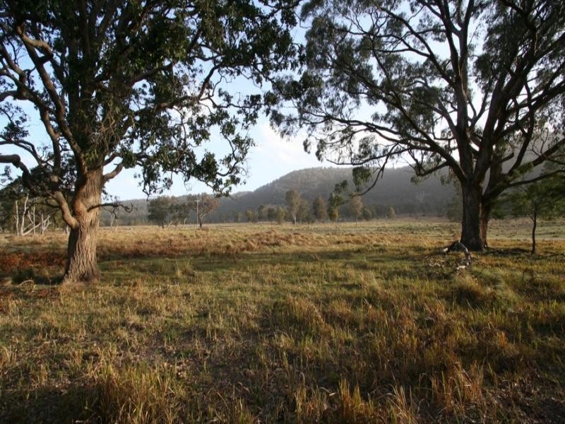 Speriby North Curr Road, Tenterfield NSW 2372